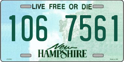 NH license plate 1067561