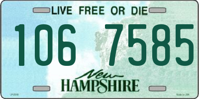 NH license plate 1067585