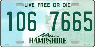 NH license plate 1067665