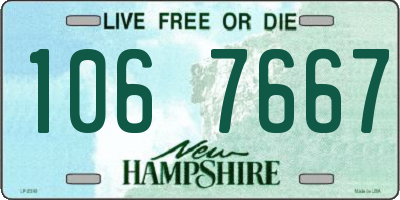 NH license plate 1067667