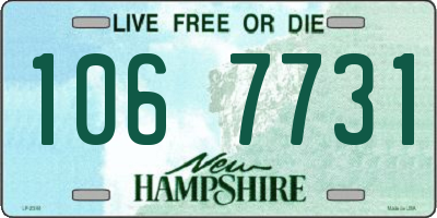 NH license plate 1067731