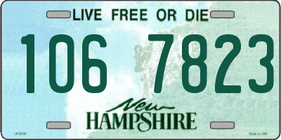 NH license plate 1067823