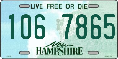 NH license plate 1067865