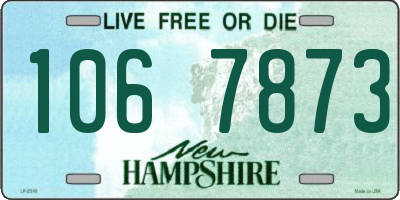 NH license plate 1067873
