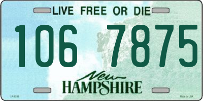 NH license plate 1067875