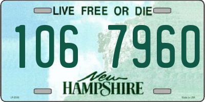 NH license plate 1067960