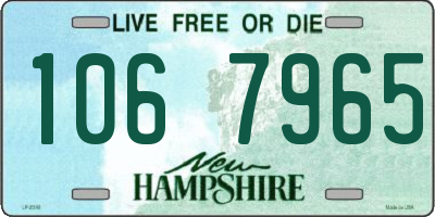 NH license plate 1067965