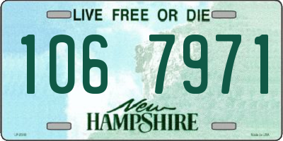 NH license plate 1067971