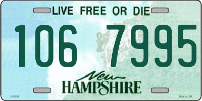 NH license plate 1067995