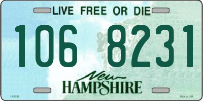 NH license plate 1068231