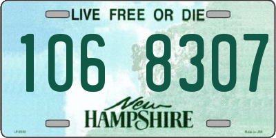 NH license plate 1068307