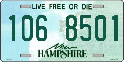 NH license plate 1068501