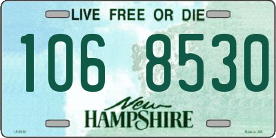 NH license plate 1068530