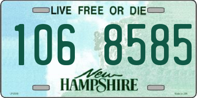 NH license plate 1068585