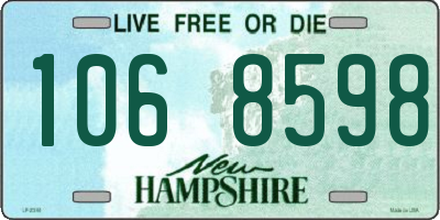 NH license plate 1068598