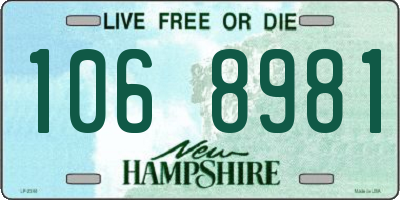 NH license plate 1068981