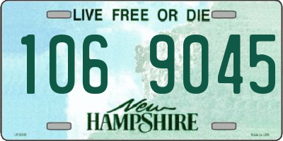 NH license plate 1069045