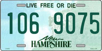 NH license plate 1069075