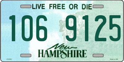 NH license plate 1069125
