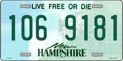 NH license plate 1069181