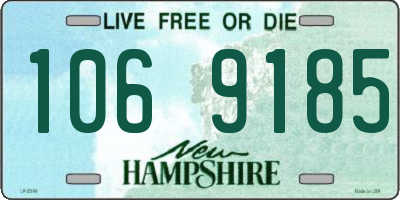 NH license plate 1069185