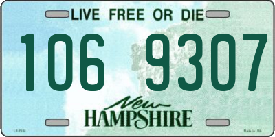 NH license plate 1069307
