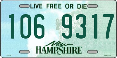 NH license plate 1069317