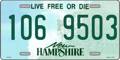 NH license plate 1069503