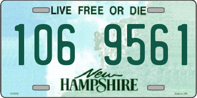 NH license plate 1069561