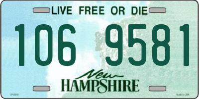 NH license plate 1069581