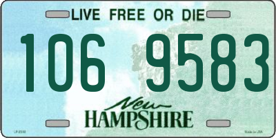 NH license plate 1069583