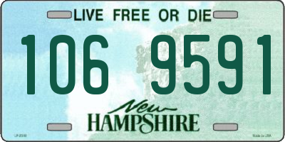 NH license plate 1069591