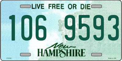 NH license plate 1069593