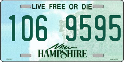 NH license plate 1069595
