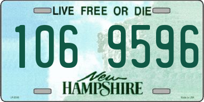 NH license plate 1069596