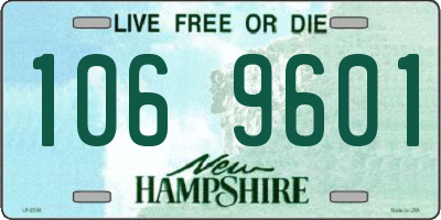 NH license plate 1069601