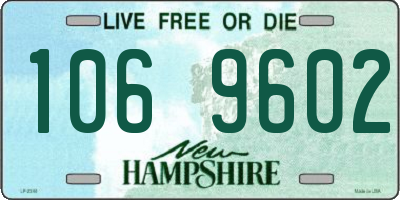 NH license plate 1069602