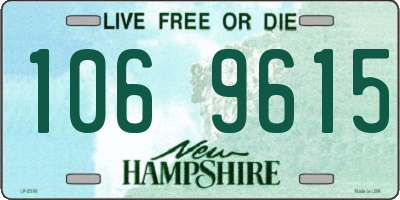 NH license plate 1069615