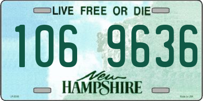 NH license plate 1069636