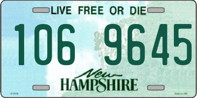 NH license plate 1069645