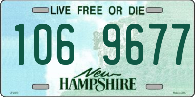 NH license plate 1069677