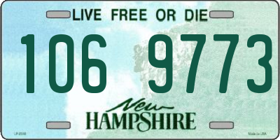 NH license plate 1069773