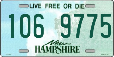 NH license plate 1069775
