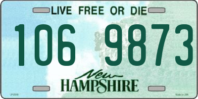 NH license plate 1069873