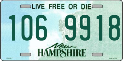NH license plate 1069918