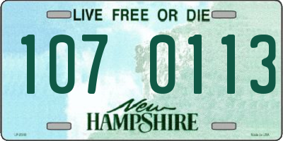 NH license plate 1070113