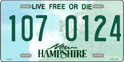 NH license plate 1070124