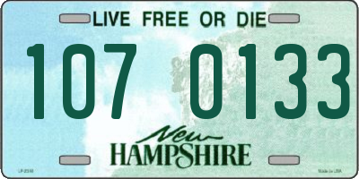 NH license plate 1070133