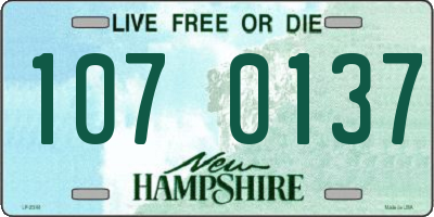 NH license plate 1070137