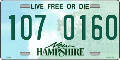NH license plate 1070160